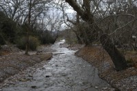 DSC_0137 Catwalk Whitewater Canyon